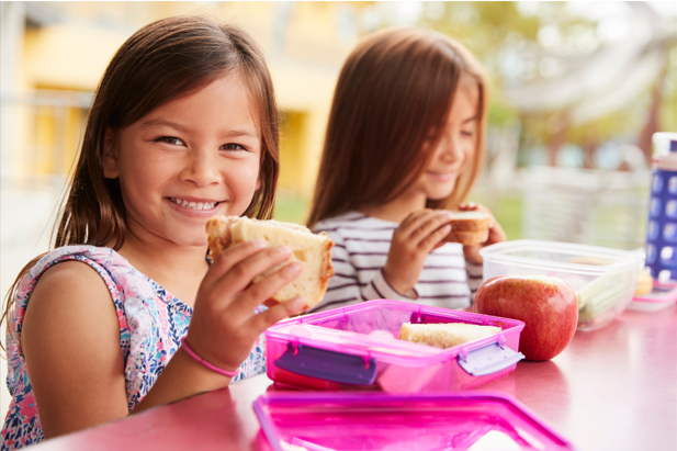 Volta às Aulas: Como montar uma lancheira equilibrada?