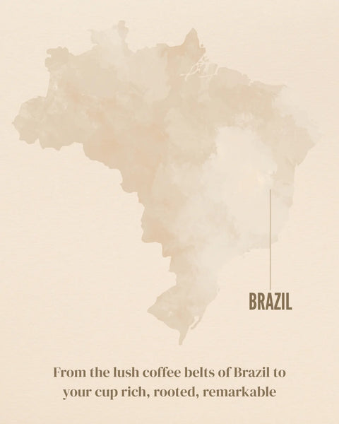 Brazilian Highlands Brew Catuaí Café Grão Especial 250g