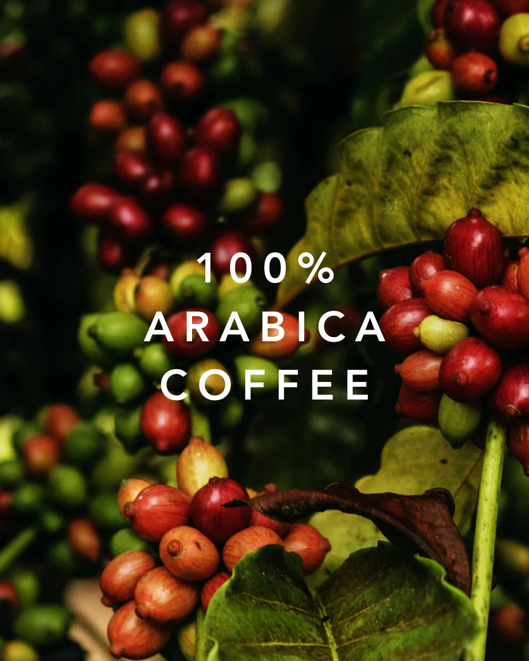 Brazilian Highlands Brew Café Grão 100% Arábica Tradicional 250g